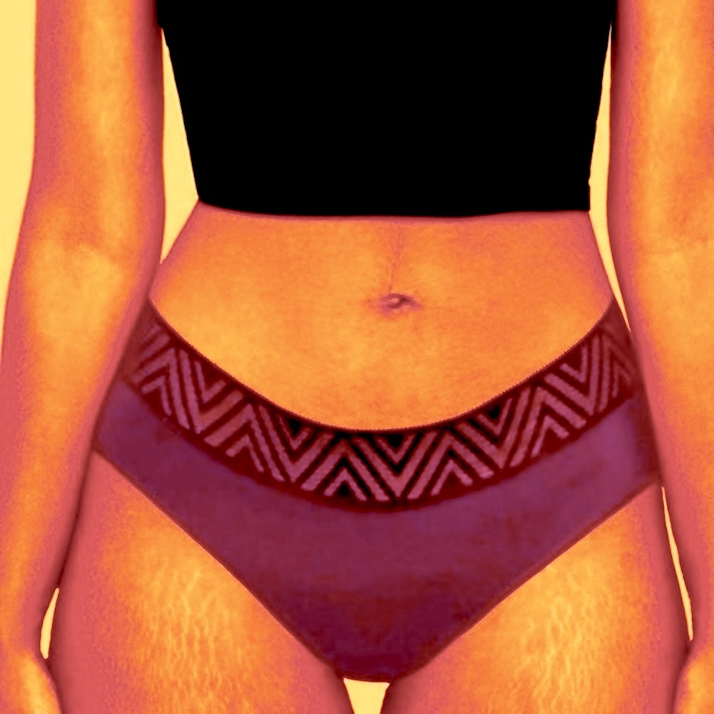 NWT Thinx Classic Hiphugger Period Underwear Period Menstrual panty Violet LARGE
